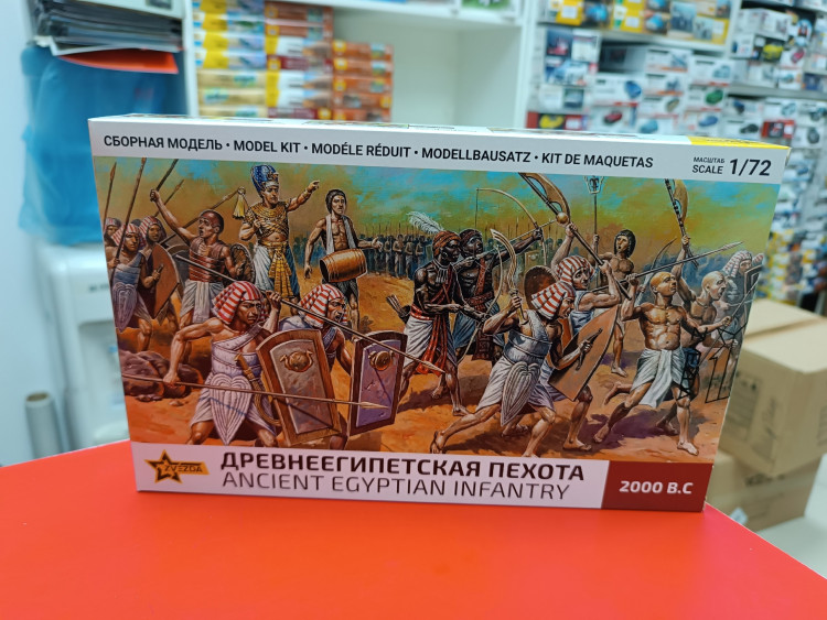 8051 Древнеегипетская пехота