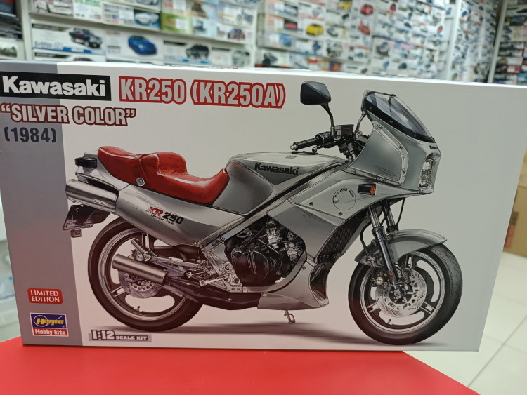 21747 Kawasaki KR250 (KR250A) "SILVER COLOR"