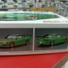 06879 Nissan Silvia S15 '99 Rodexstyle