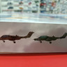 48301 OV-10D + Bronco, Легкий штурмовик и самолет наблюдения