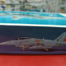 00439 Двухместный палубный истребитель ВМС США F/A-18D HORNET