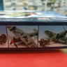 12466  Tempest V