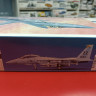 00435 Двухместный истребитель ВВС США/ВВС Японии F-15D/DJ EAGLE