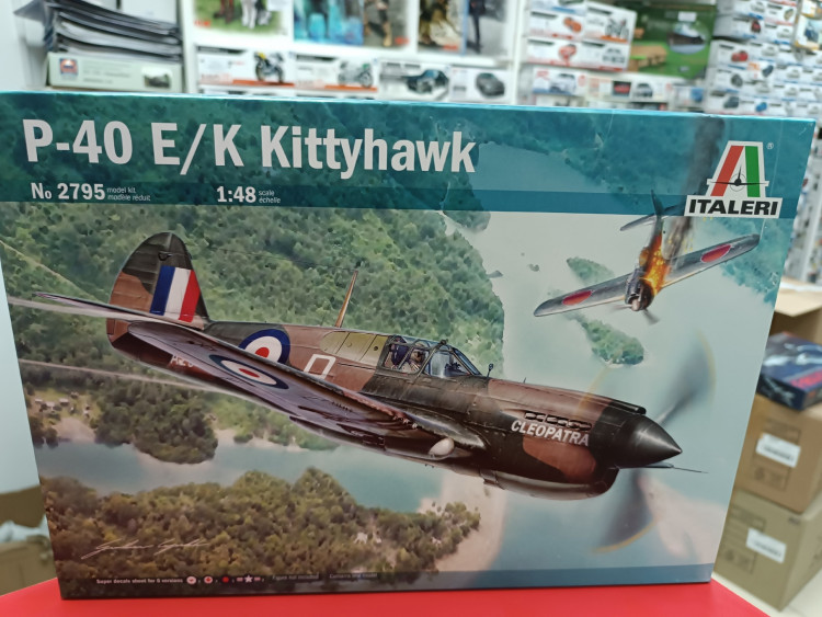 2795ИТ Самолет P-40 E/K Kittyhawk
