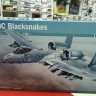 2725ИТ Самолет A-10C "Blacksnakes"